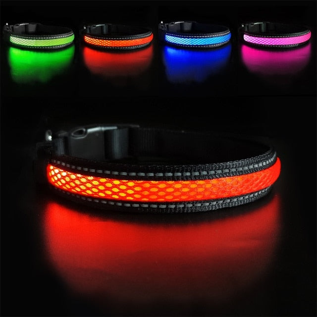 Canine Glow Collar - Onset Gadgets