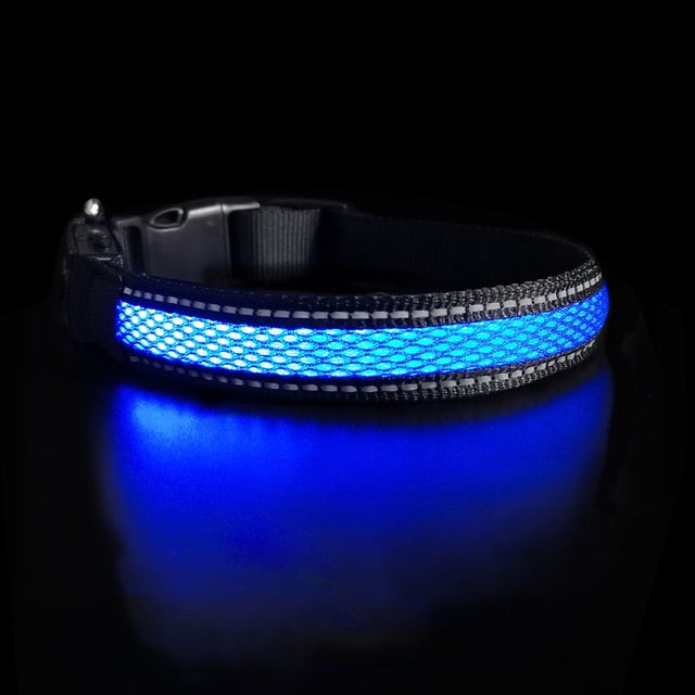 Canine Glow Collar - Onset Gadgets