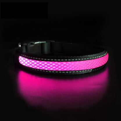 Canine Glow Collar - Onset Gadgets