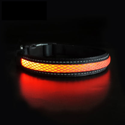 Canine Glow Collar - Onset Gadgets