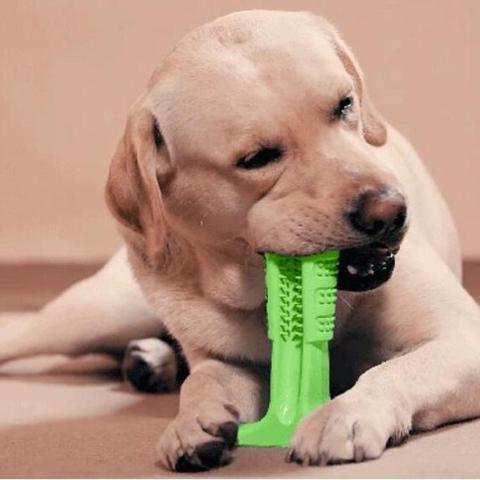 Meat-Flavored Dog Toothbrush - Onset Gadgets