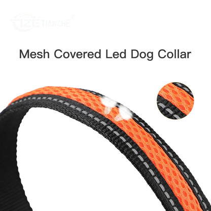 Canine Glow Collar - Onset Gadgets