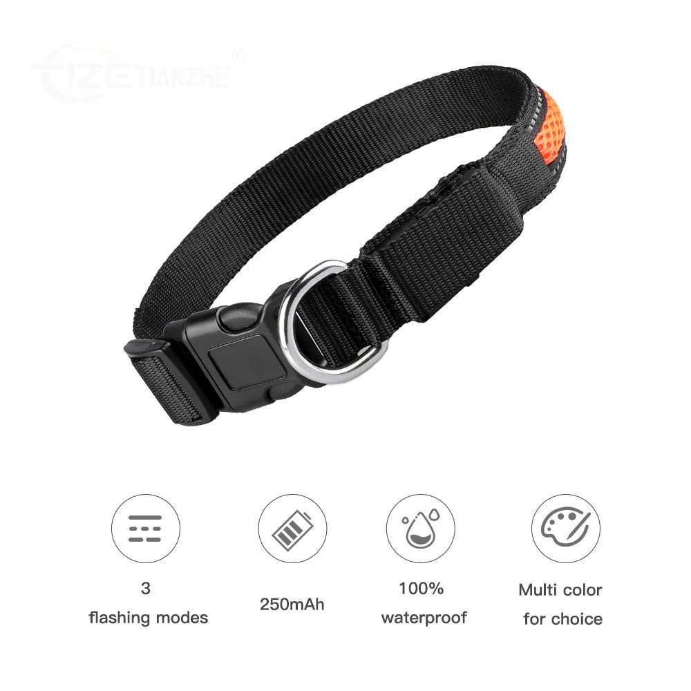 Canine Glow Collar - Onset Gadgets