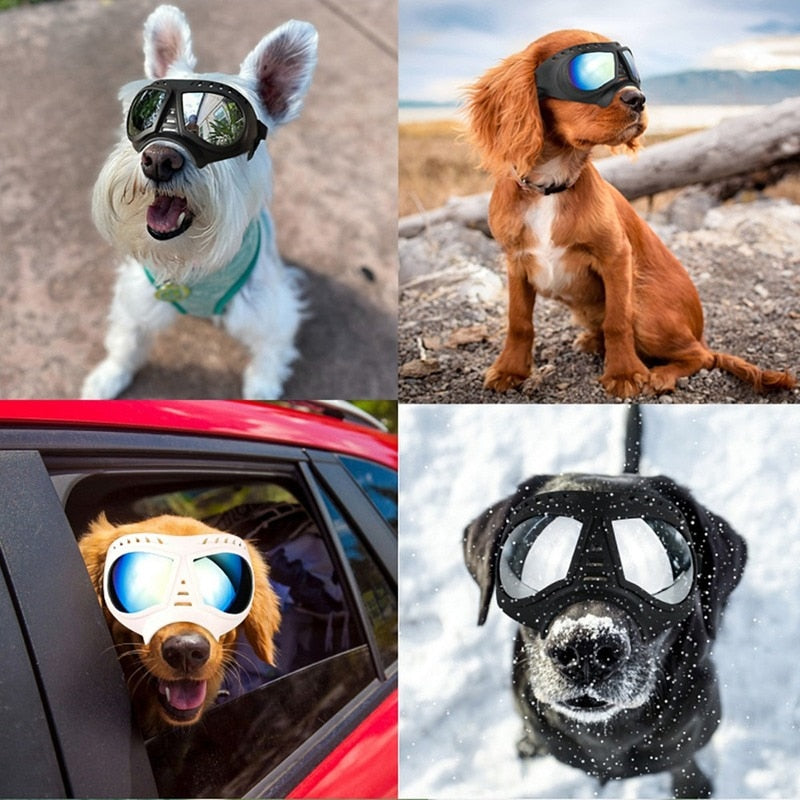 Soft Frame Puppy Glasses - Onset Gadgets