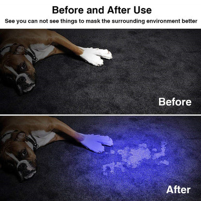 LED UV Flashlight Ultraviolet Torch With Zoom Function Mini UV Black Light Pet Urine Stains Detector Scorpion Hunting - Onset Gadgets