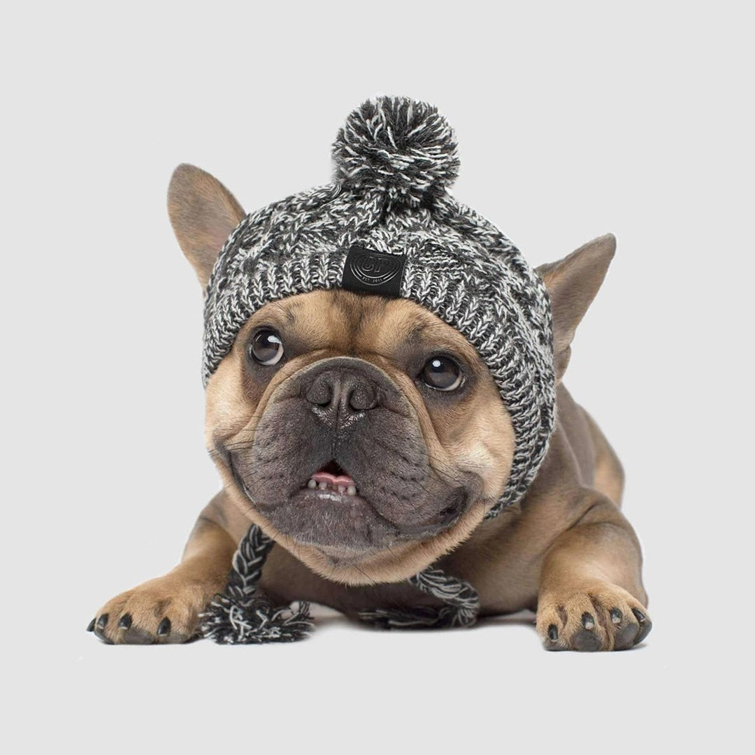 Warm Winter Pet Hat - Onset Gadgets